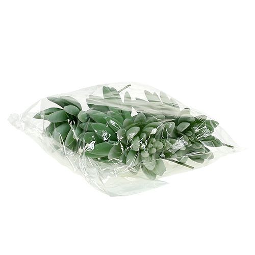 Product Succulent Echeveria Ø6.5cm L11cm 6 pcs