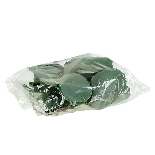 Floristik24 Succulent stonecrop L18cm 4pcs