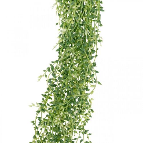 Product Succulent hanging artificial hanging plant green 96cm