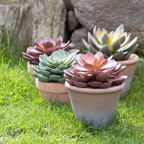 Product Succulent in pot Echeveria artificial red vintage Ø15cm H16cm