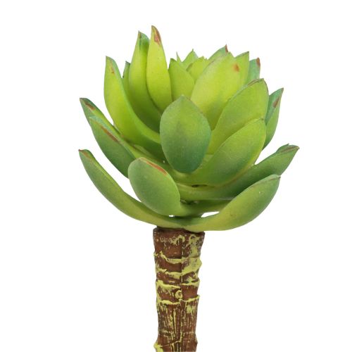 Succulent Echeveria Artificial Green Plant Green Ø5.5cm 12.5cm