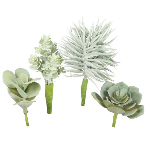 Floristik24 Succulents Artificial Green Plant Green Assorted 9-18.5cm 4pcs