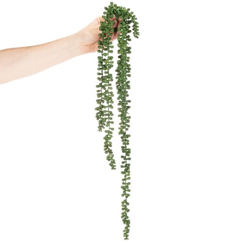 Artificial Succulent Hanging Garlands, 80 cm, Green, Indoor Decoration | Floristik24.co.uk