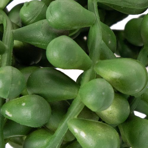 Artificial Succulent Hanging Garlands, 80 cm, Green, Indoor Decoration | Floristik24.co.uk