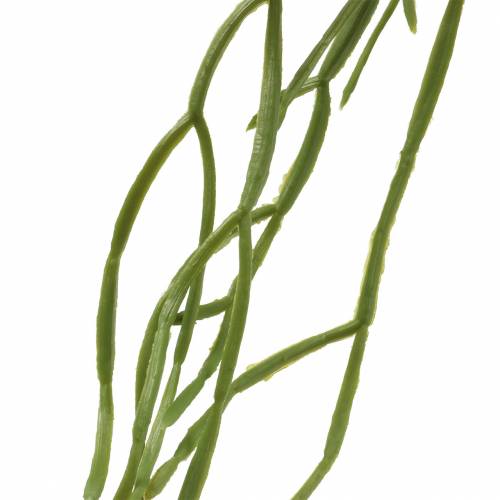 Floristik24 Artificial hanging succulent green 110cm