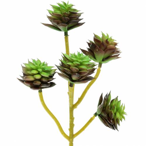 Floristik24 Succulent picket green / brown 35,5cm