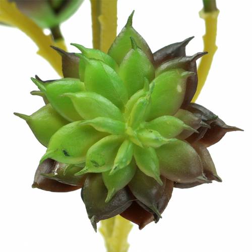 Product Succulent picket green / brown 35,5cm