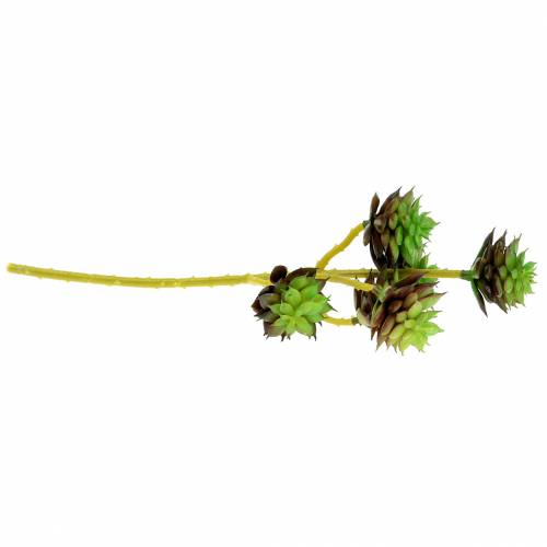 Product Succulent picket green / brown 35,5cm