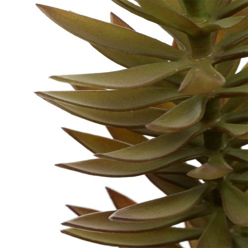 Succulent branch light brown green 48cm