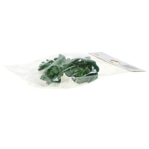 Floristik24 Succulents sorted 11cm 3pcs