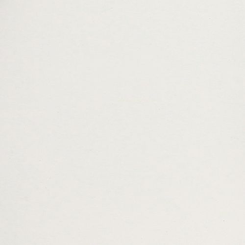 Product Tray with practical handles for versatile use in the home and catering industry, 30cm