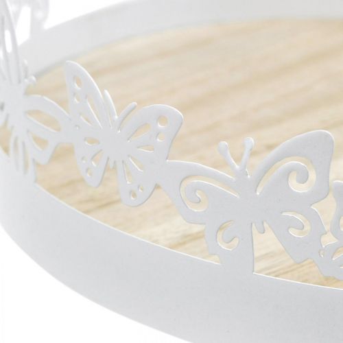 Product Spring tray, butterfly decoration, table decoration, metal decoration for planting white Ø20cm H6.5cm