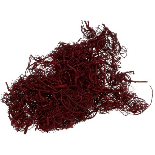 Floristik24 Tamarind Fiber 500g Wine Red