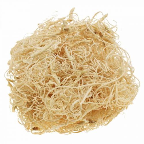 Product Tamarind Fiber 500g bleached