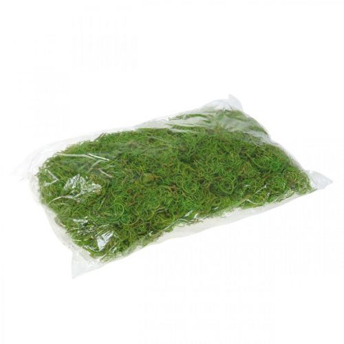 Product Tamarind Fibre Light Green Natural Fibre for Crafting and Decorating 500g