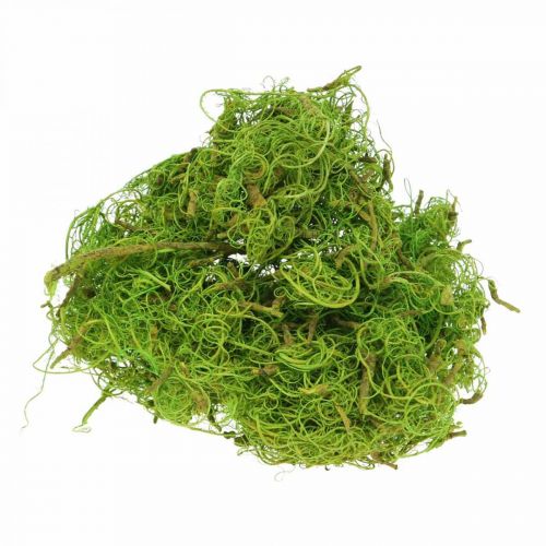 Floristik24 Tamarind Fiber Light Green Natural Fiber for Crafts and Decorating 500g