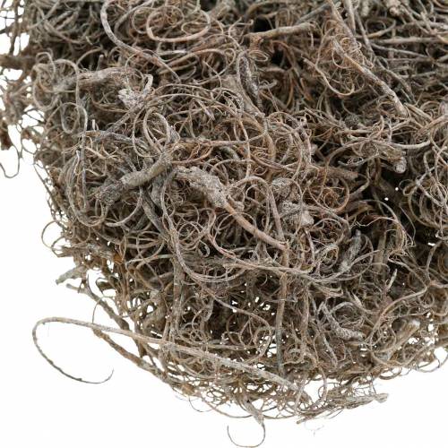 Floristik24 Tamarind Fiber natural washed white 500g