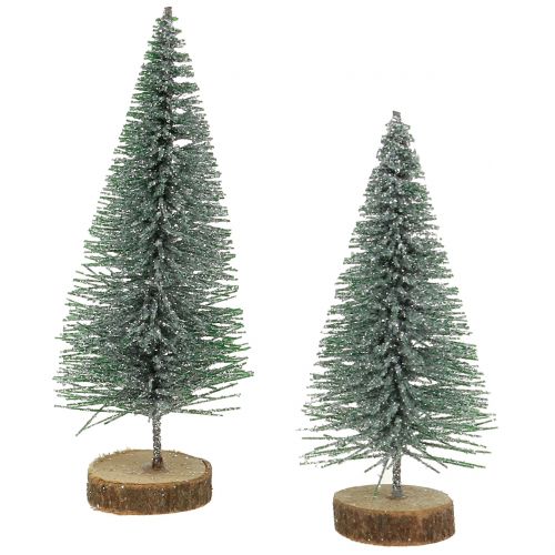Floristik24 Fir tree silver 8cm 24 pcs