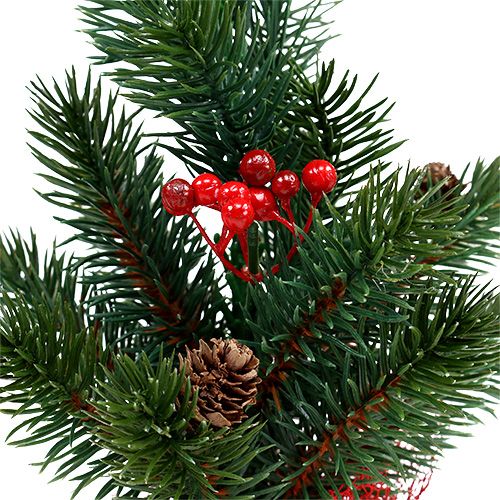 Floristik24 Fir 32cm with cones and bag red