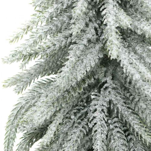 Floristik24 Decorative fir tree with snow, advent decoration, fir tree in a pot H37cm