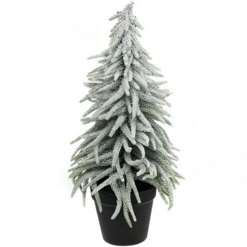 Floristik24 Winter fir in a pot, Christmas decoration, fir tree with snow H45cm