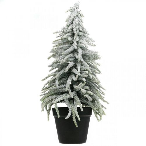 Winter fir in a pot, Christmas decoration, fir tree with snow H45cm