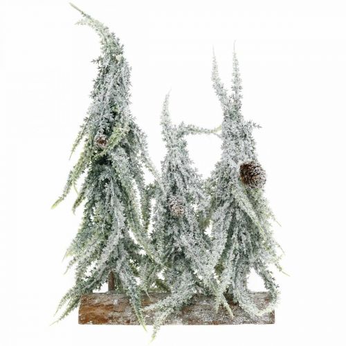 Floristik24 Fir trees with snow, Advent decoration, winter forest L16.5cm H28cm