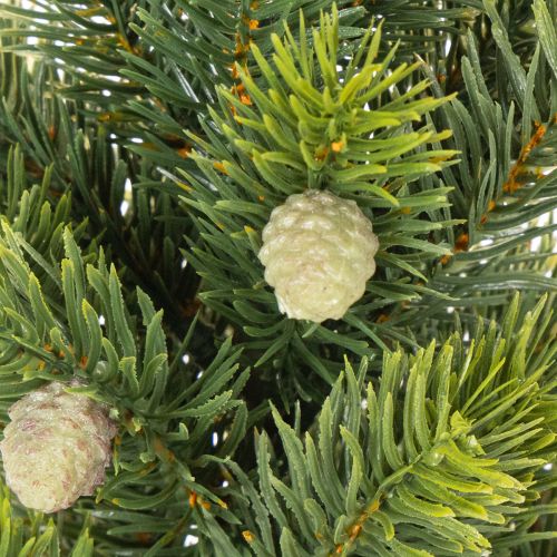 Artificial Mini Christmas Tree in Burlap Sack – Table Decoration, 38cm | Floristik24.co.uk