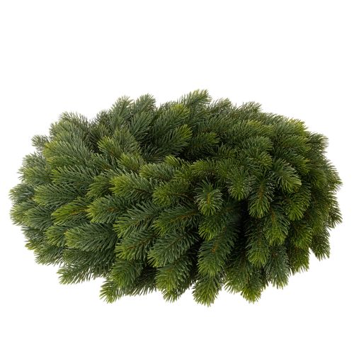 Artificial Green Pine Branch Wreath Round 50cm

```html
<h2>Artificial Green Pine Branch Wreath 50cm</h2>
<p>
This artificial green pine branch wreath brings a classic and versatile decorative touch to your home. Made from durable plastic in a natural gre | Floristik24.co.uk