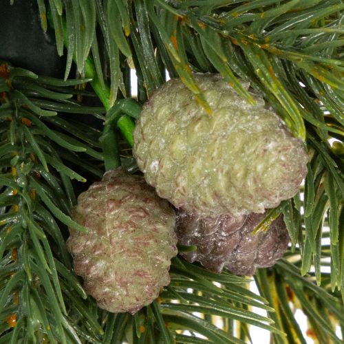 Artificial Pine Wreath with Cones 30cm for Door or Table Decoration

```html
<h2>Artificial Pine Wreath with Cones for Seasonal Home Decoration</h2>

<p>
This artificial pine wreath is a versatile decoration piece designed to enhance your home during the  | Floristik24.co.uk