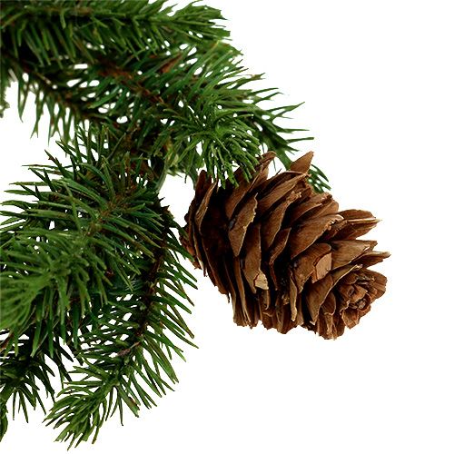 Floristik24 Fir-wreath with cones Ø11cm 6pcs