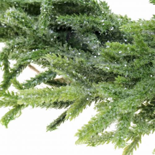 Floristik24 Fir wreath Ø30cm green