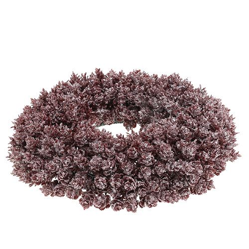 Floristik24 Pinecone wreath Ø25cm Burgundy iced