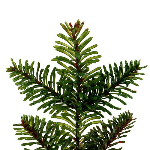 Floristik24 Fir branch artificial 36cm green 2pcs