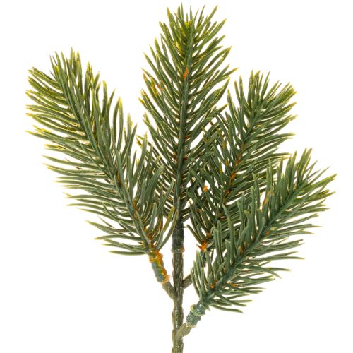 **Artificial Pine Sprigs Green 25cm Pack of 24 for Winter Decorations**

```html
<h2>Artificial Pine Sprigs for Seasonal Decorations</h2>

<p>
These artificial green pine sprigs are ideal for adding a touch of nature to your seasonal home decorations. Mea