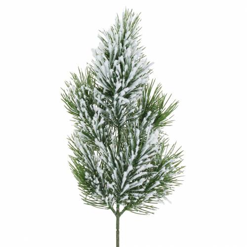 Floristik24 Pine branch green snow-covered 50cm