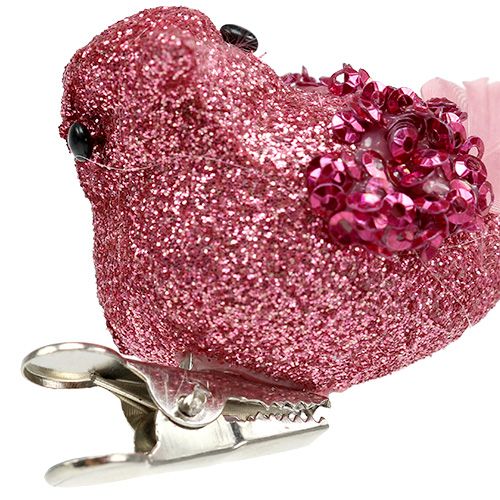Floristik24 Pigeon on the clip sorted in color. 15cm 8pcs