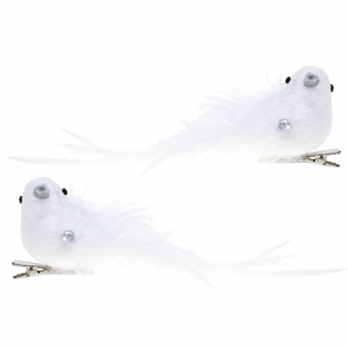 Floristik24 Dove on the clip white 14cm 2pcs