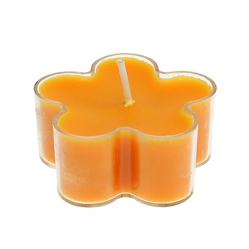 Floristik24 Tealight as a flower with scent 4,5x2cm 6pcs