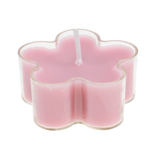 Floristik24 Tealight with scented flower 4,5x2cm 6pcs