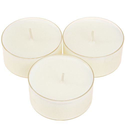 Floristik24 Tealights maxi with transparent cover white 54mm 16 pcs