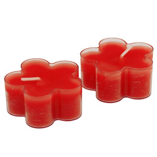 Floristik24 Blossom Light Ruby 12pcs