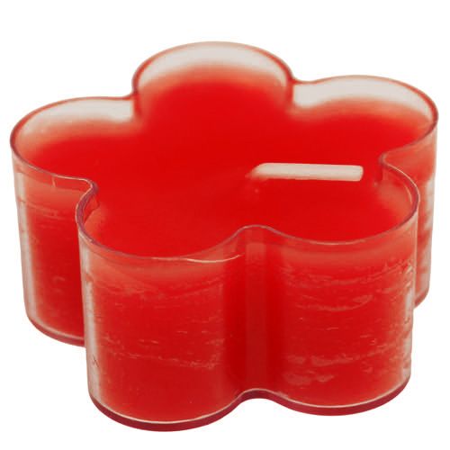 Floristik24 Blossom Light Ruby 12pcs