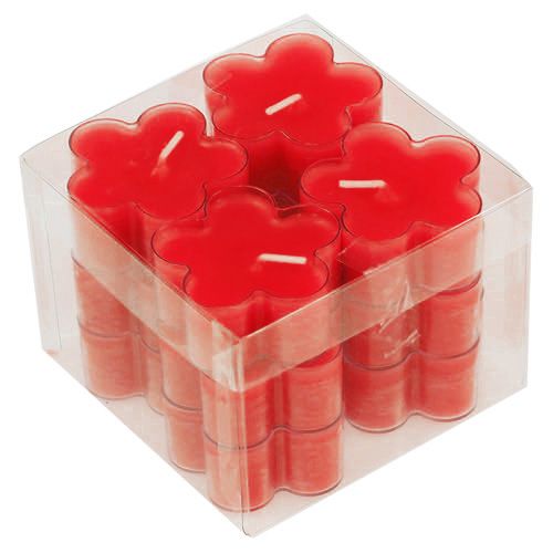 Floristik24 Blossom Light Ruby 12pcs