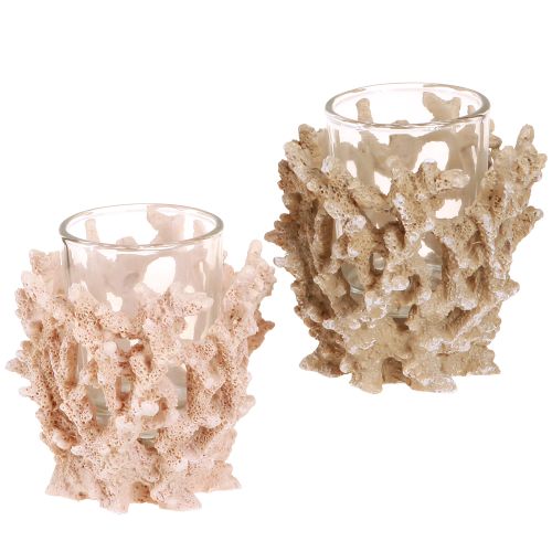 Floristik24 Tealight holder coral decoration maritime cream brown H9cm 2pcs