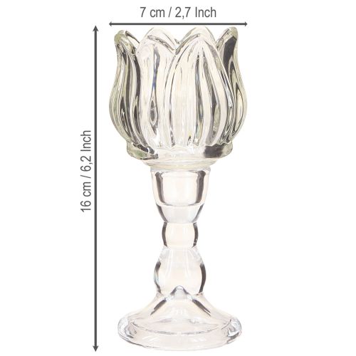 Product Tealight holder tulip tealight glass with base clear Ø7cm H16cm 2pcs