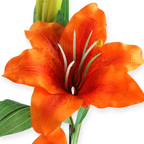 Product Tiger lily Orange 47cm