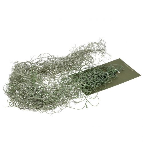 Floristik24 Tillandsia artificial gray 130cm