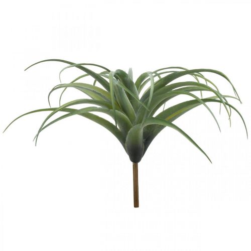 Floristik24 Deco Tillandsia artificial artificial plant to stick green Ø45cm