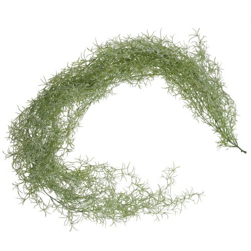 Floristik24 Tillandsienhanger Green 160cm
